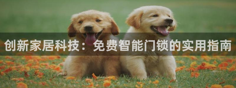 金年会棋牌：创新家居科技：免费智能门锁的实用指南