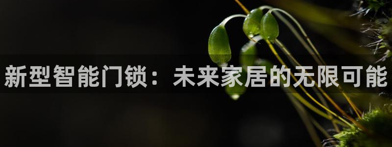 金年会6766001：新型智能门锁：未来家居的无限可能