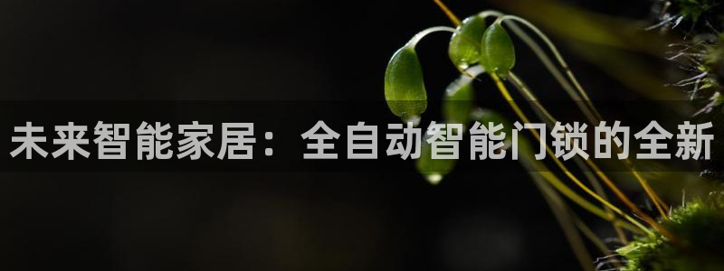 金年会彩票下载app：未来智能家居：全自动智能门锁的全新