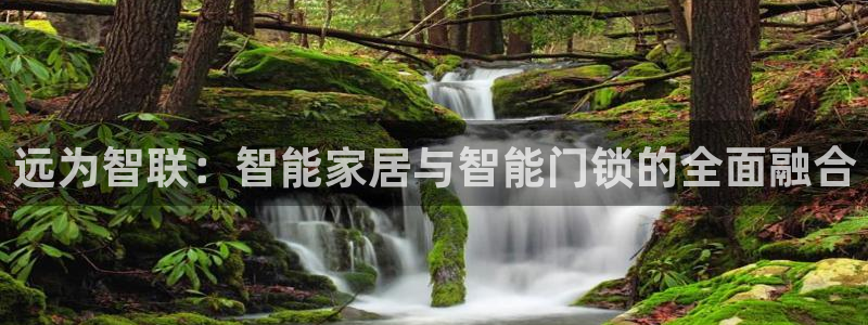 金年会官：远为智联：智能家居与智能门锁的全面融合
