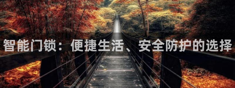 金年会官网app下载：智能门锁：便捷生活、安全防护的选择