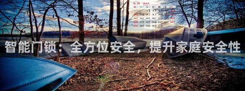 金年会拼音：智能门锁：全方位安全，提升家庭安全性