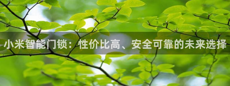 金年会金年华：小米智能门锁：性价比高、安全可靠的未来选择