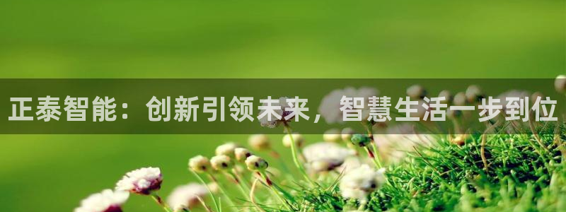 金年会下载：正泰智能：创新引领未来，智慧生活一步到位