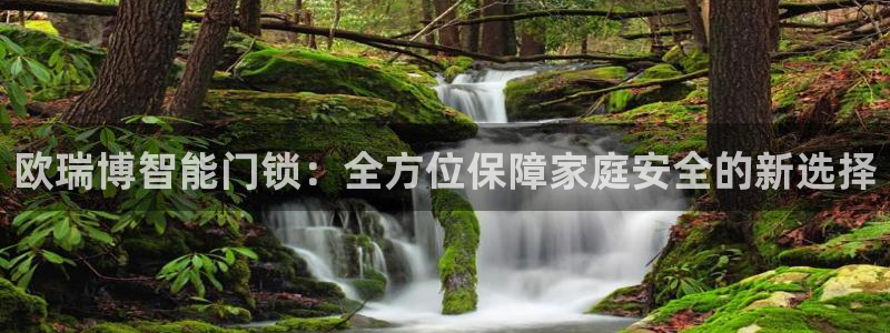 金联金年会：欧瑞博智能门锁：全方位保障家庭安全的新选择