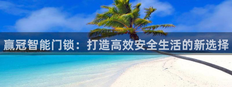 金年会平台登陆：赢冠智能门锁：打造高效安全生活的新选择