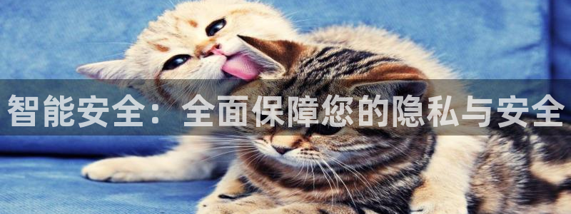 金诚集团年会：智能安全：全面保障您的隐私与安全