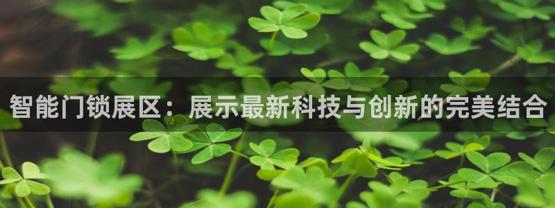 金年会官方网：智能门锁展区：展示最新科技与创新的完美结合