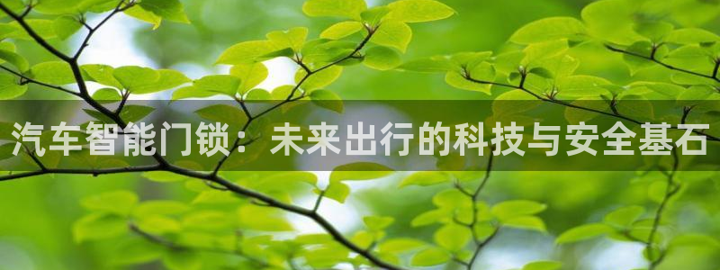 金年会 1080P：汽车智能门锁：未来出行的科技与安全基石