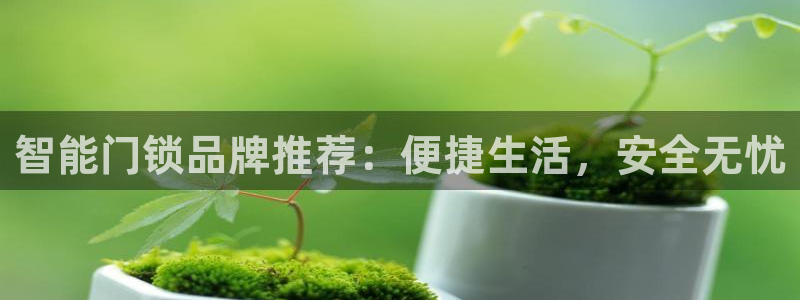 金年会开户：智能门锁品牌推荐：便捷生活，安全无忧