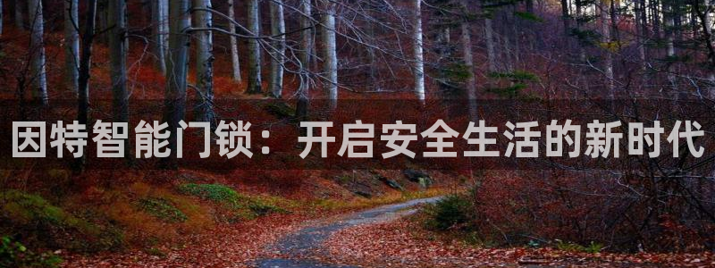 金年会网登录平台入口：因特智能门锁：开启安全生活的新时代