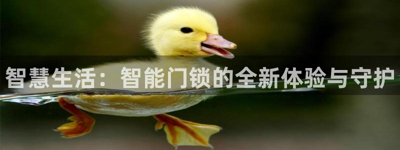 金年会平台是什么：智慧生活：智能门锁的全新体验与守护