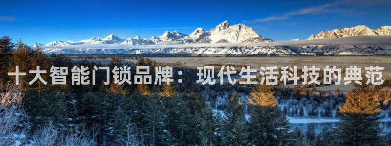 为什么搜索不了金年会：十大智能门锁品牌：现代生活科技的典范