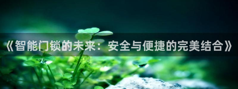 今年会金年会：《智能门锁的未来：安全与便捷的完美结合》