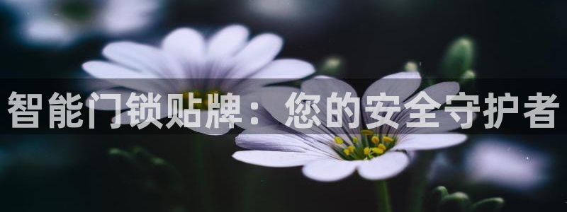 金年会娱乐下载app：智能门锁贴牌：您的安全守护者