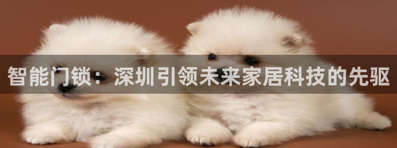 金年会官网登入：智能门锁：深圳引领未来家居科技的先驱