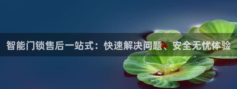 金年会这个平台：智能门锁售后一站式：快速解决问题、安全无忧体