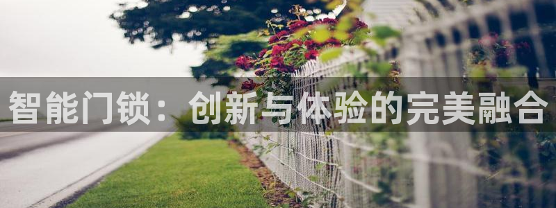 金年会国际：智能门锁：创新与体验的完美融合