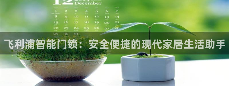 世纪金源年会：飞利浦智能门锁：安全便捷的现代家居生活助手