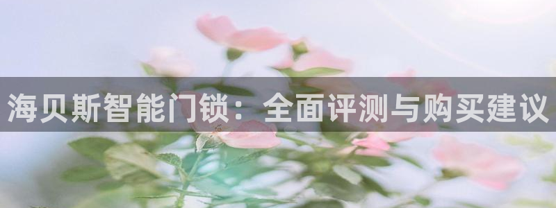 金年会代理：海贝斯智能门锁：全面评测与购买建议