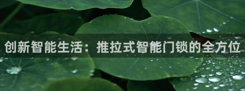 金年会网页版登陆：创新智能生活：推拉式智能门锁的全方位