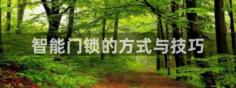 金年会吧：智能门锁的方式与技巧