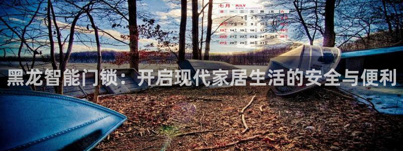 金年会全站：黑龙智能门锁：开启现代家居生活的安全与便利