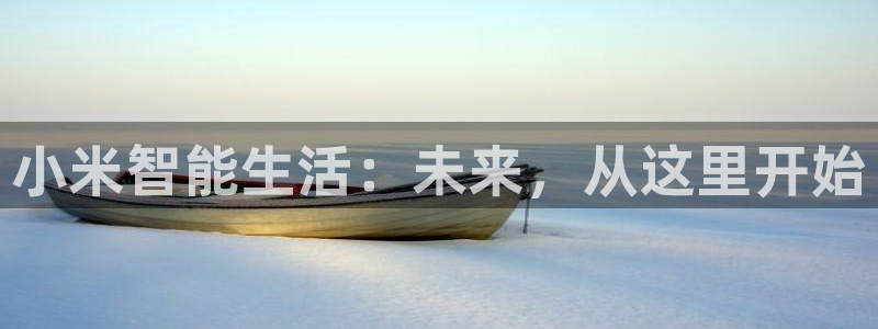 体育金年会：小米智能生活：未来，从这里开始