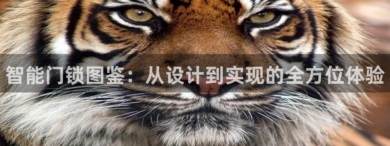 金年会最新官网：智能门锁图鉴：从设计到实现的全方位体验