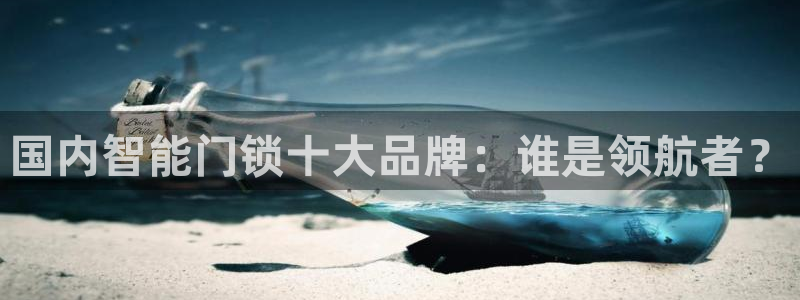 金年会最新下载：国内智能门锁十大品牌：谁是领航者？