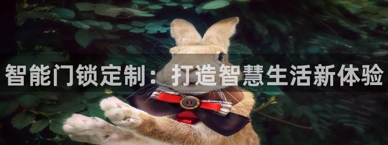 金年会app：智能门锁定制：打造智慧生活新体验