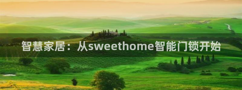 金年会国际：智慧家居：从sweethome智能门锁开始