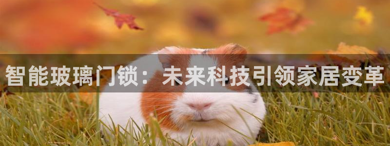 jinnianhui 金年会：智能玻璃门锁：未来科技引领家居