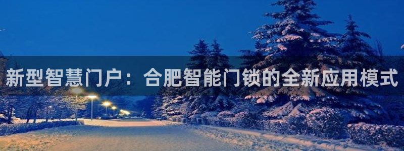 金年会娱乐-平台登录：新型智慧门户：合肥智能门锁的全新应用模
