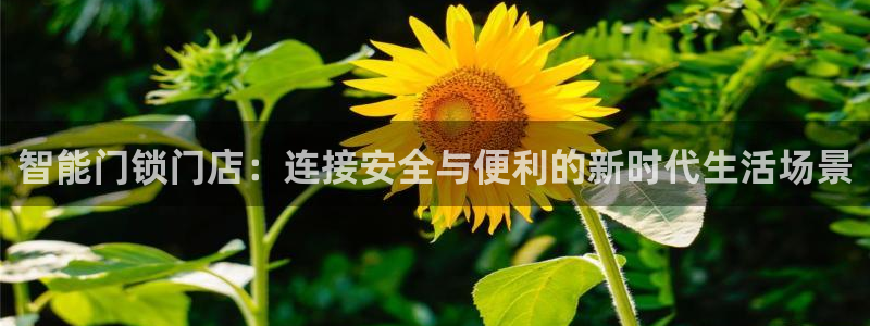 金年会安装：智能门锁门店：连接安全与便利的新时代生活场景