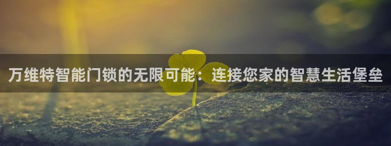 金年会能提款吗：万维特智能门锁的无限可能：连接您家的智慧生活