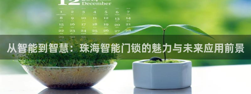 亚博金年会：从智能到智慧：珠海智能门锁的魅力与未来应用前景