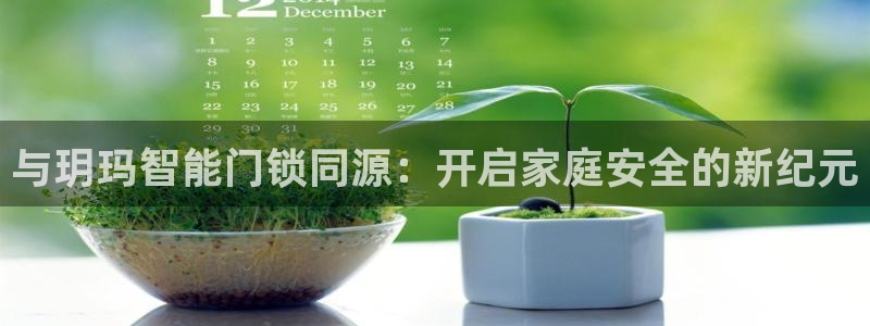 金年会电子游戏app：与玥玛智能门锁同源：开启家庭安全的新纪