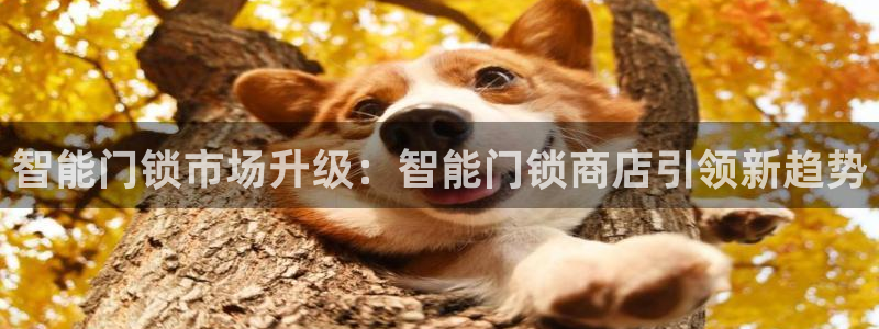 金年会官网app下载：智能门锁市场升级：智能门锁商店引领新趋