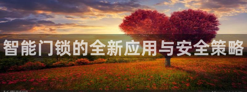 金 金年会：智能门锁的全新应用与安全策略