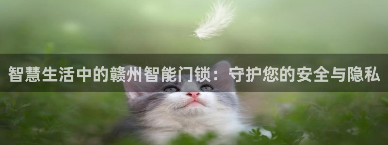 澳门娱乐金年会：智慧生活中的赣州智能门锁：守护您的安全与隐私