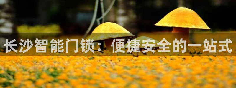 金年会活动策划：长沙智能门锁：便捷安全的一站式