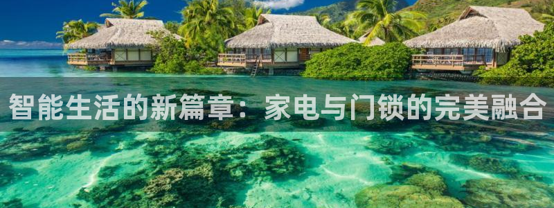 金年会 平台：智能生活的新篇章：家电与门锁的完美融合