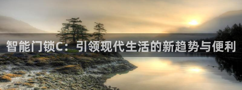 今年会送彩金28：智能门锁C：引领现代生活的新趋势与便利