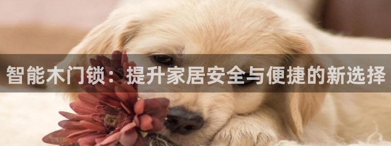 金齿科年会：智能木门锁：提升家居安全与便捷的新选择