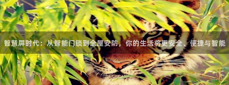 金年会棋牌：智慧屏时代：从智能门锁到全屋安防，你的生活将更安