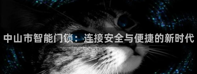 金帆年会2019：中山市智能门锁：连接安全与便捷的新时代