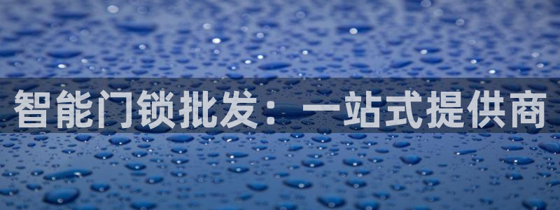 金年会金字招牌在线入口：智能门锁批发：一站式提供商