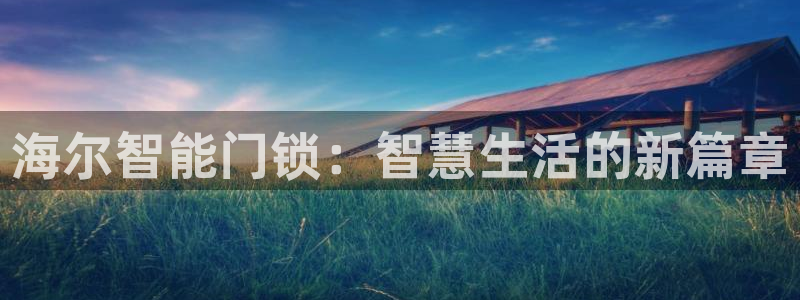 金年会体育官方网站：海尔智能门锁：智慧生活的新篇章