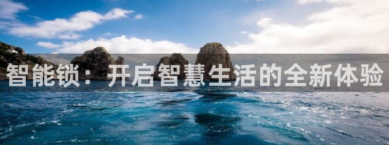 金年会APP黑钱：智能锁：开启智慧生活的全新体验